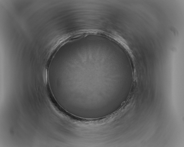 X0000115090013200911101533