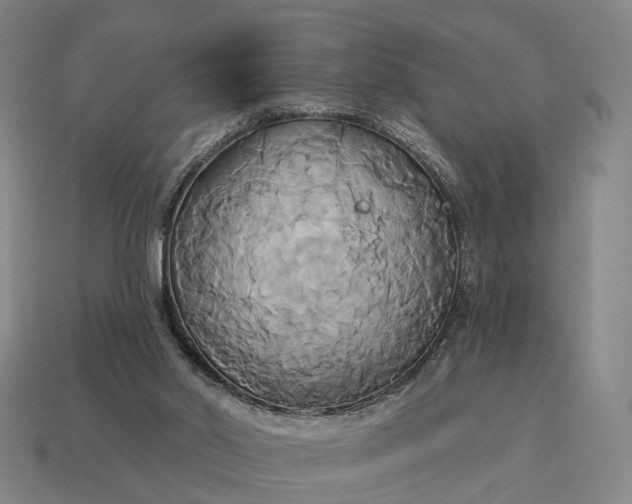 X0000115090014200911101533