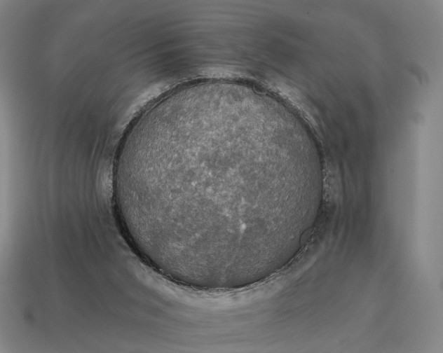 X0000115090015200911101533