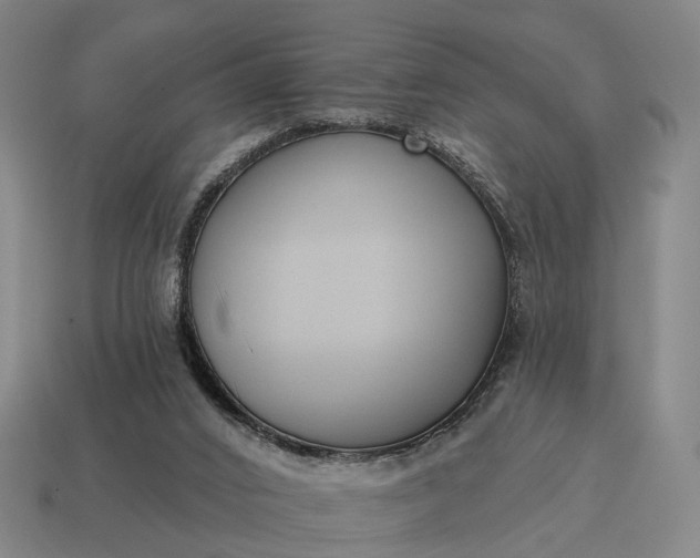 X0000115090016200911101533