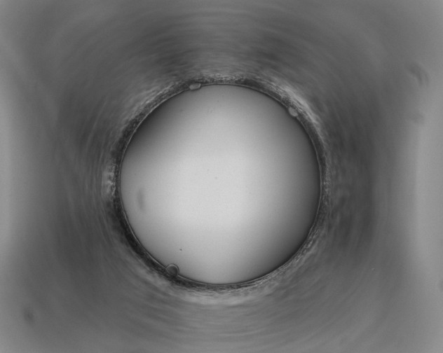 X0000115090017200911101533