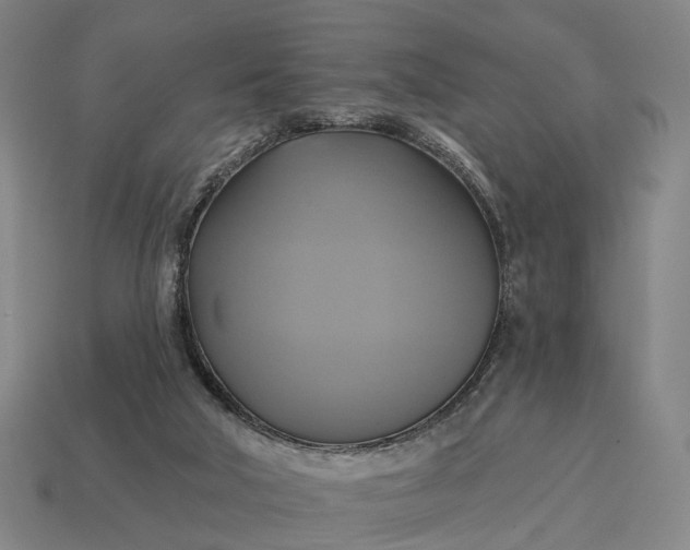 X0000115090018200911101533