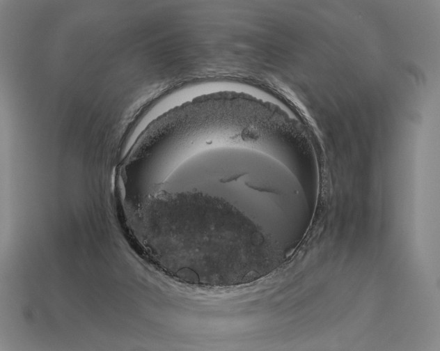X0000115090019200911101533