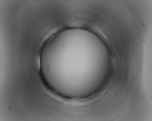 X0000115090020200911101533