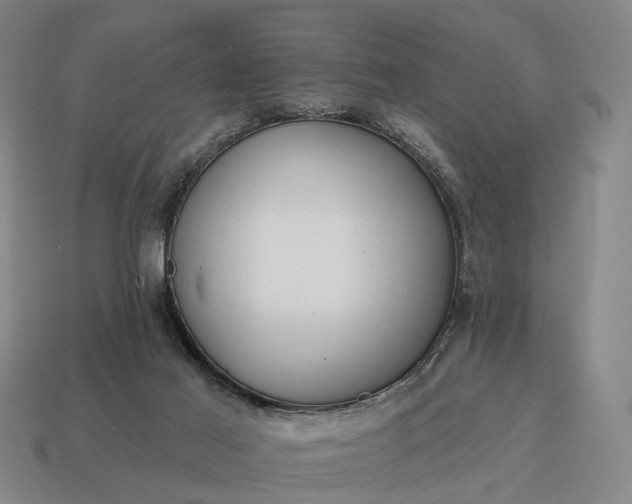 X0000115090021200911101533