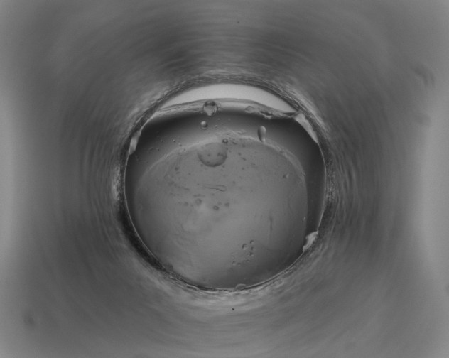 X0000115090023200911101533