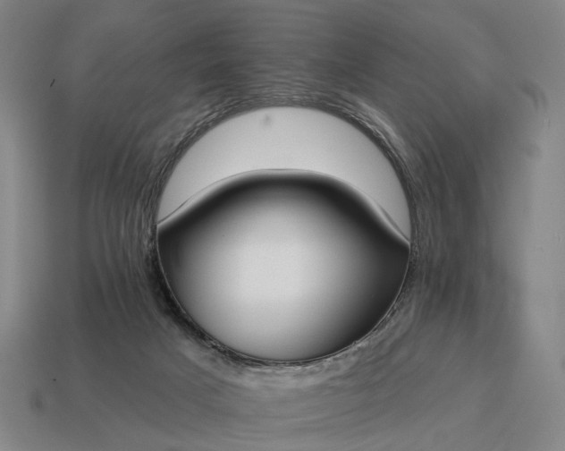 X0000115090025200911101533