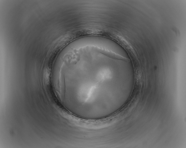 X0000115090026200911101533