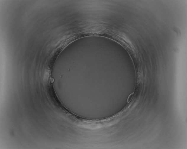 X0000115090029200911101533