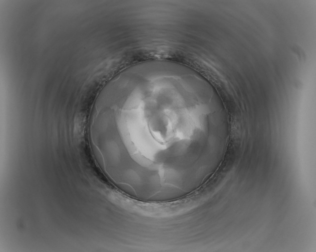 X0000115090030200911101533