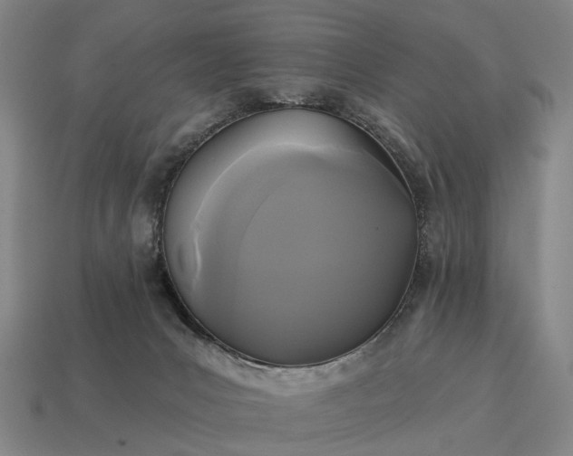 X0000115090031200911101533