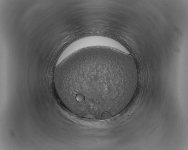 X0000115090036200911101533