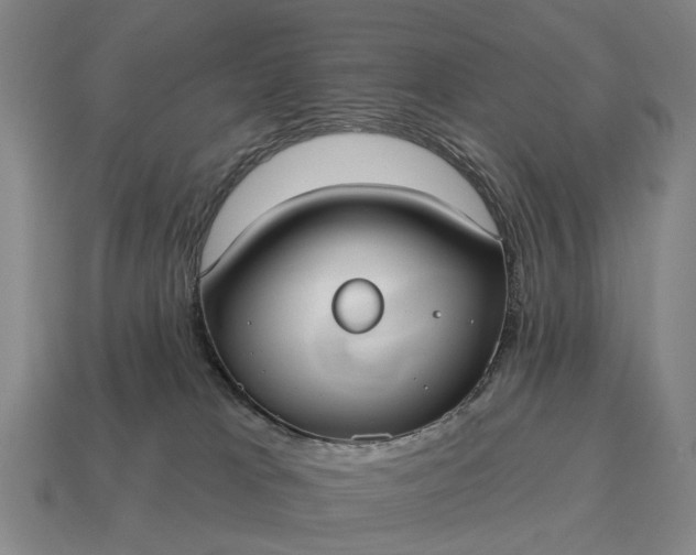 X0000115090037200911101533