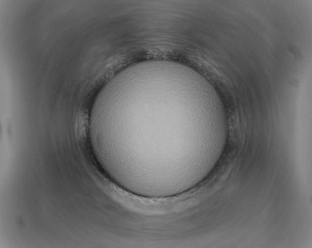 X0000115090038200911101533