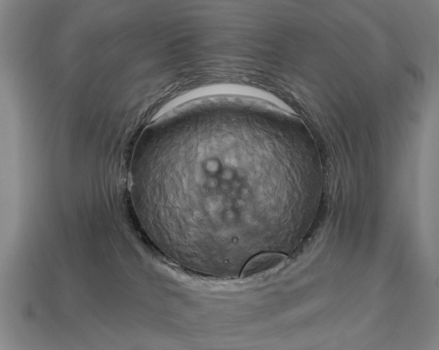 X0000115090040200911101533