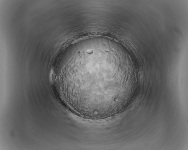 X0000115090042200911101533