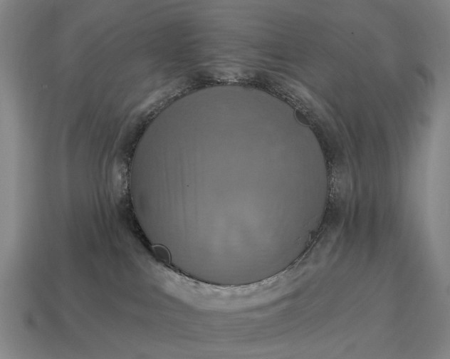 X0000115090043200911101533