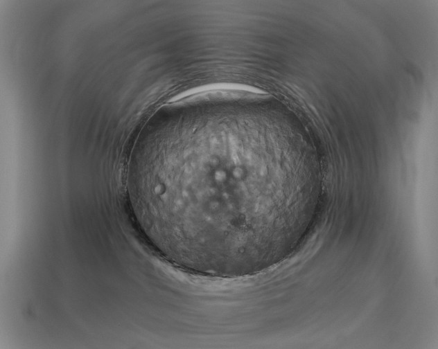 X0000115090044200911101533