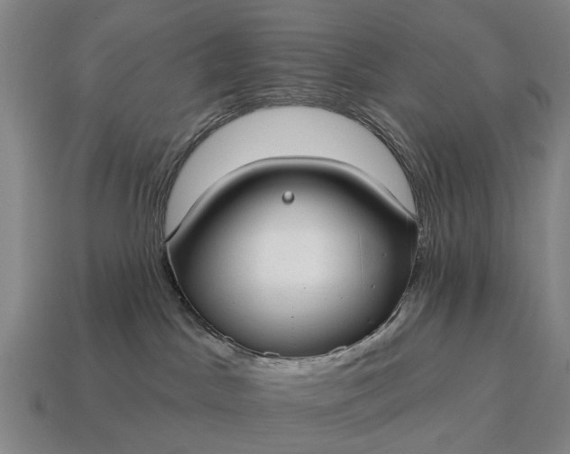 X0000115090045200911101533