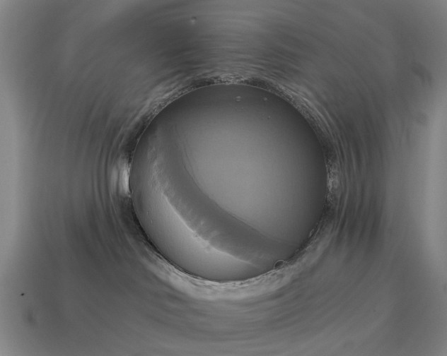 X0000115090046200911101533
