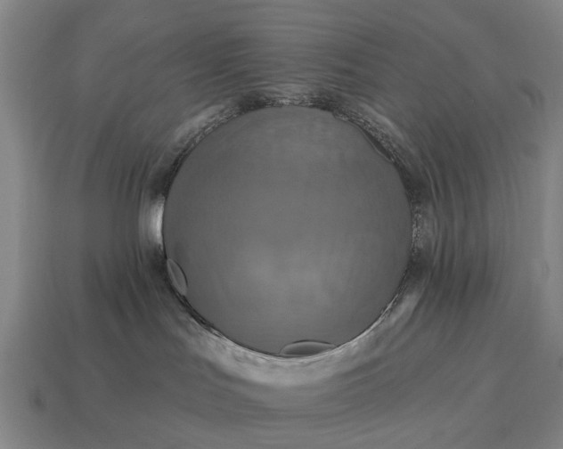 X0000115090047200911101533
