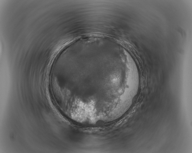 X0000115090049200911101532