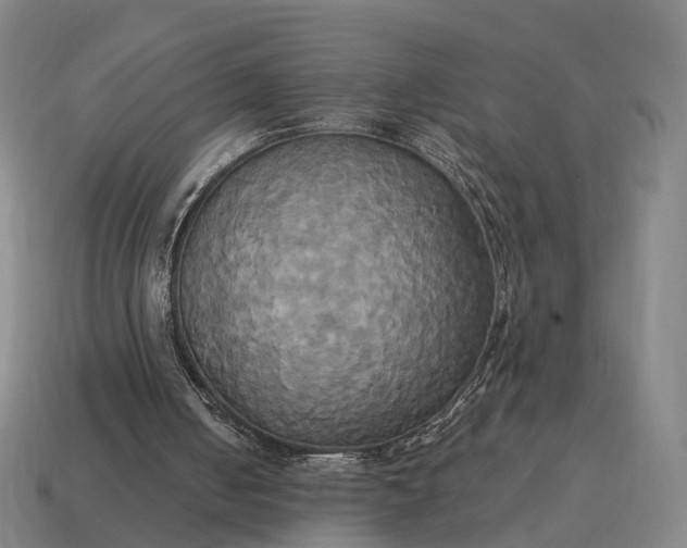 X0000115090050200911101532