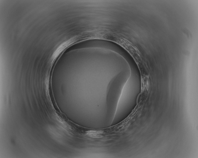 X0000115090051200911101532