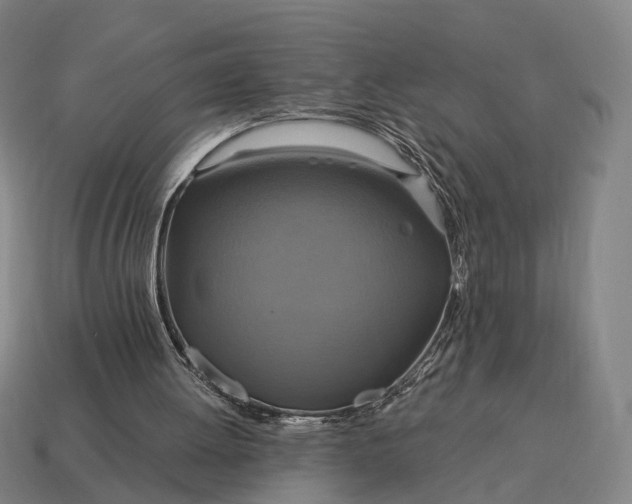 X0000115090052200911101532