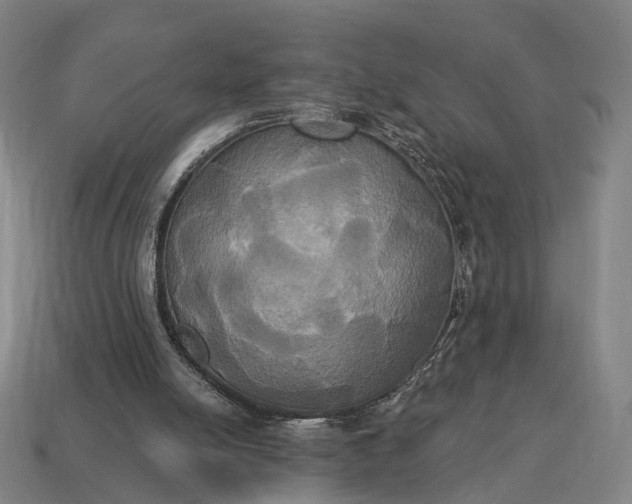 X0000115090054200911101532