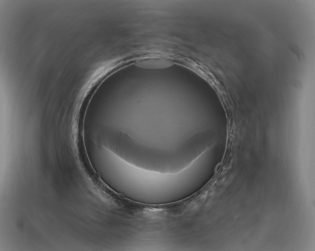 X0000115090055200911101532