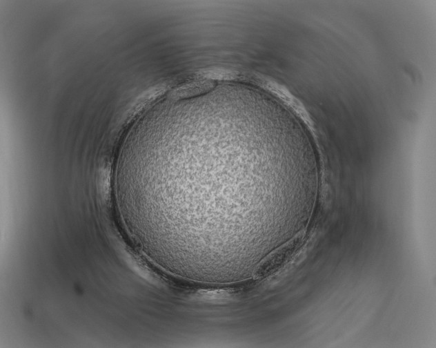 X0000115090057200911101532