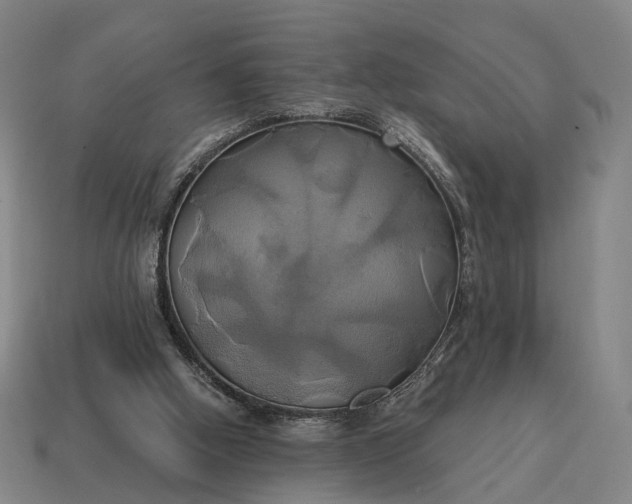 X0000115090058200911101532