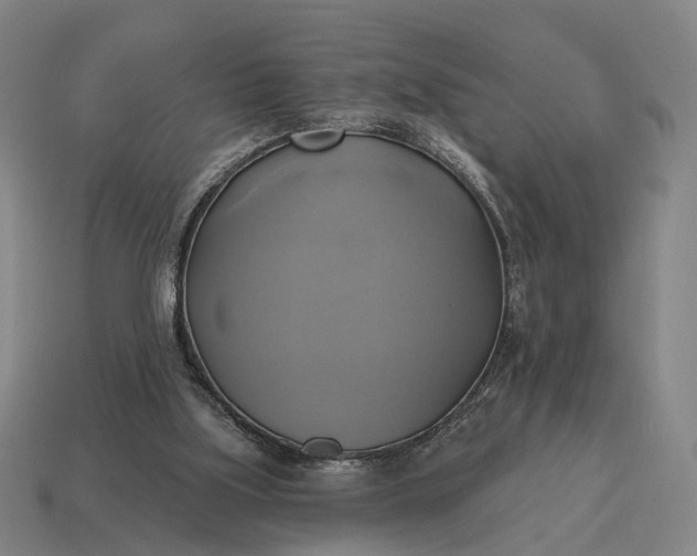 X0000115090059200911101532