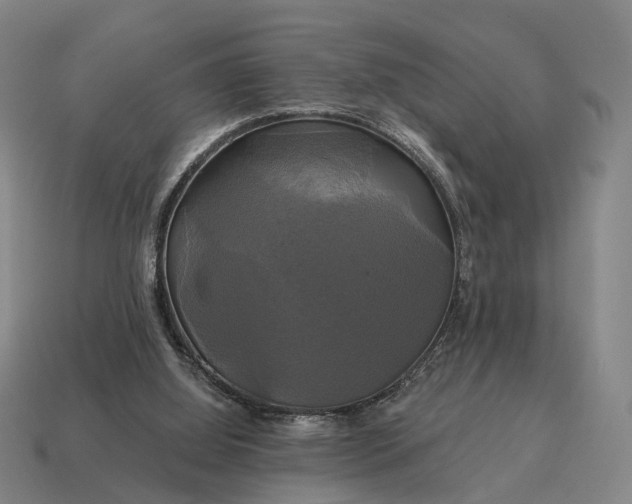 X0000115090060200911101532