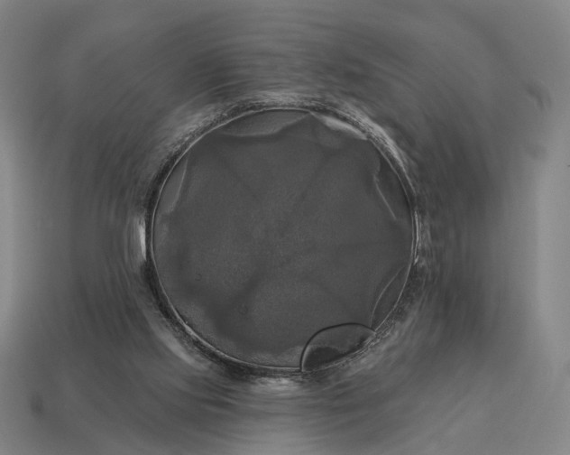 X0000115090061200911101532