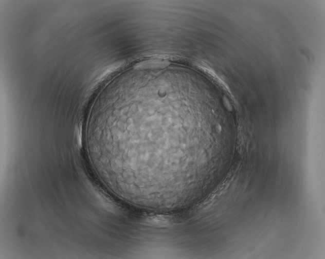 X0000115090062200911101532