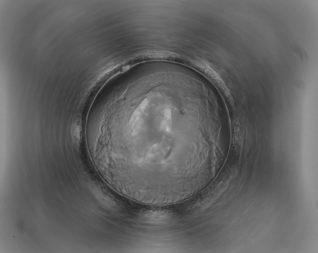X0000115090063200911101532