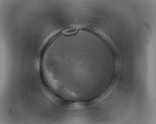 X0000115090064200911101532
