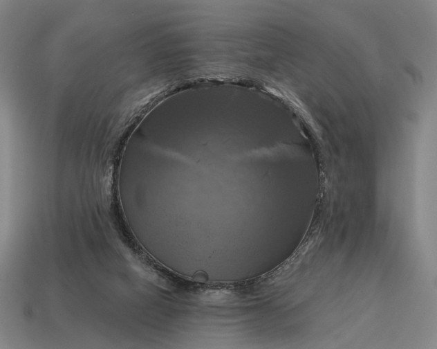 X0000115090066200911101532