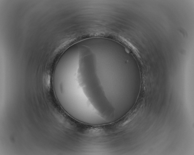 X0000115090067200911101532
