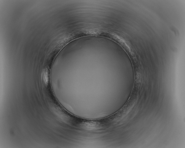 X0000115090069200911101532