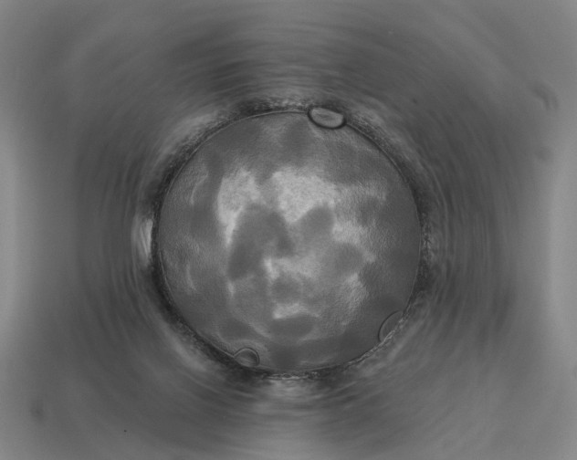 X0000115090070200911101532