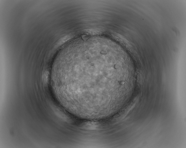 X0000115090071200911101532