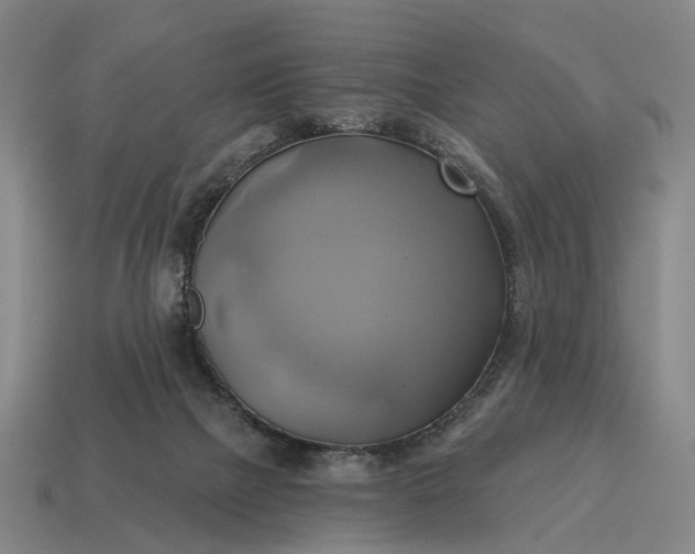 X0000115090073200911101532