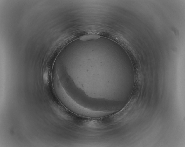 X0000115090074200911101533