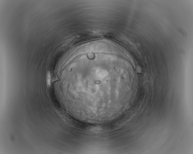 X0000115090075200911101533