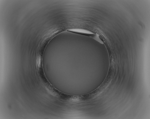 X0000115090076200911101533