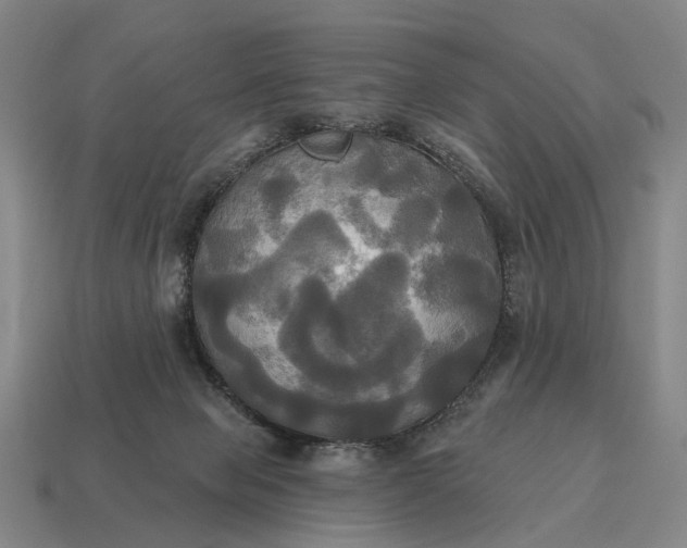X0000115090077200911101533