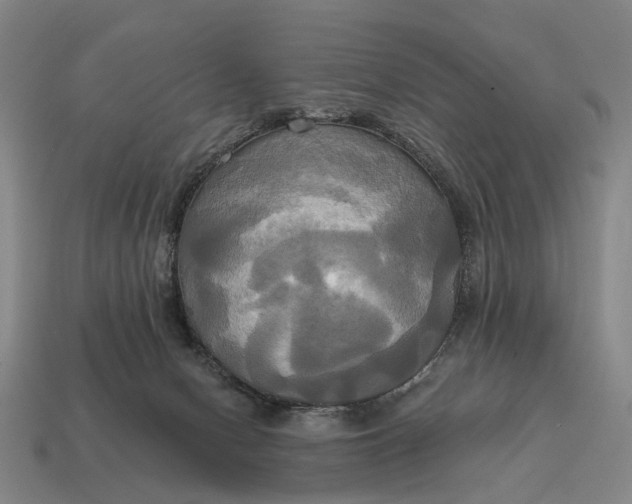 X0000115090078200911101533